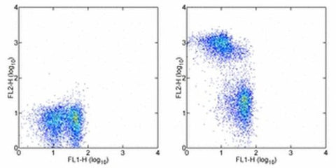 CD3 Monoclonal Antibody (eBioG4.18 (G4.18)), Biotin, eBioscience