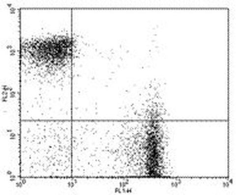 CD3e Monoclonal Antibody (145-2C11), Biotin, eBioscience