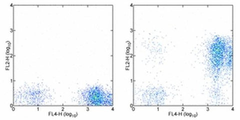 CD7 Monoclonal Antibody (eBio124-1D1 (124-1D1)), Biotin, eBioscience