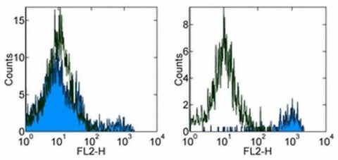 CD11b Monoclonal Antibody (M1/70), Biotin, eBioscience