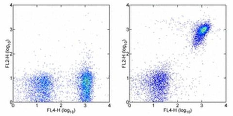 CD19 Monoclonal Antibody (eBio1D3 (1D3)), Biotin, eBioscience