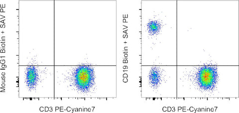 CD19 Monoclonal Antibody (SJ25C1), Biotin, eBioscience