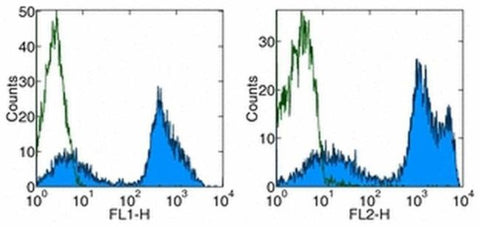 CD24 Monoclonal Antibody (M1/69), Biotin, eBioscience