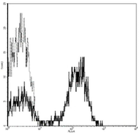 CD28 Monoclonal Antibody (CD28.2), Biotin, eBioscience