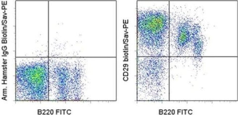 CD29 (Integrin beta 1) Monoclonal Antibody (eBioHMb1-1 (HMb1-1)), Biotin, eBioscience