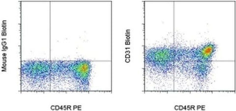 CD31 (PECAM-1) Monoclonal Antibody (TLD-3A12), Biotin, eBioscience