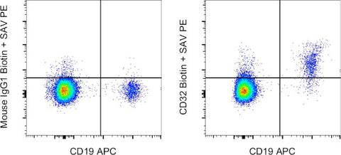CD32 Monoclonal Antibody (6C4 (CD32)), Biotin, eBioscience