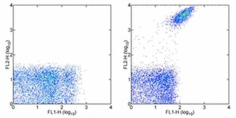 CD41a Monoclonal Antibody (eBioMWReg30 (MWReg30)), Biotin, eBioscience