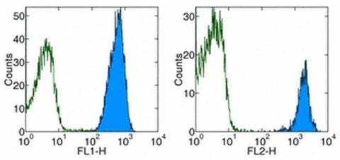 CD45 Monoclonal Antibody (30-F11), Biotin, eBioscience