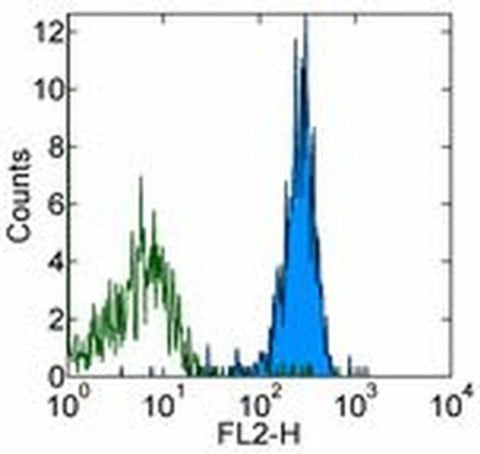 CD51 (Integrin alpha V) Monoclonal Antibody (RMV-7), Biotin, eBioscience