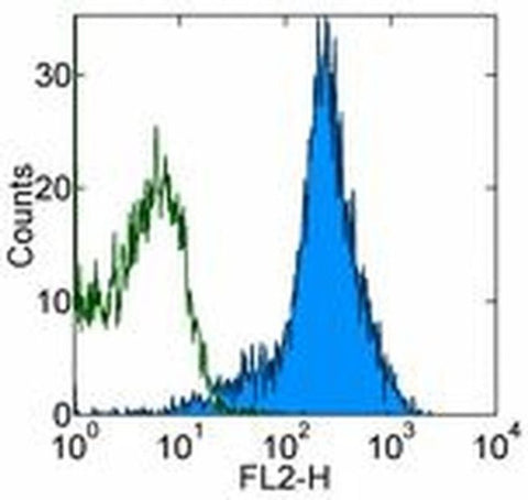 CD54 (ICAM-1) Monoclonal Antibody (YN1/1.7.4), Biotin, eBioscience