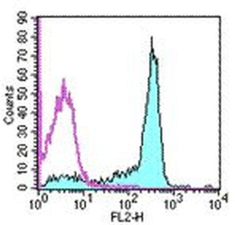 CD61 (Integrin beta 3) Monoclonal Antibody (2C9.G3), Biotin, eBioscience