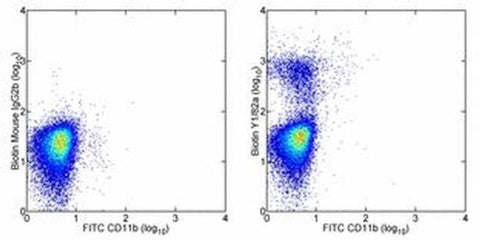 CD68 Monoclonal Antibody (eBioY1/82A (Y1/82A)), Biotin, eBioscience