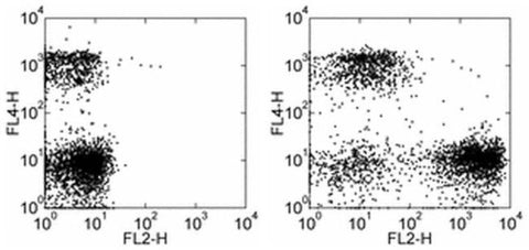 CD71 (Transferrin Receptor) Monoclonal Antibody (R17217 (RI7 217.1.4)), Biotin, eBioscience