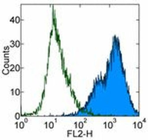 CD86 (B7-2) Monoclonal Antibody (GL1), Biotin, eBioscience