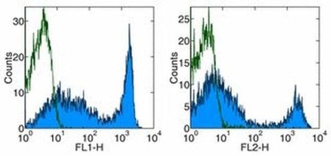 CD90.2 (Thy-1.2) Monoclonal Antibody (53-2.1), Biotin, eBioscience