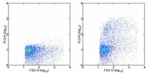 CD106 (VCAM-1) Monoclonal Antibody (eBioMR106 (MR106)), Biotin, eBioscience