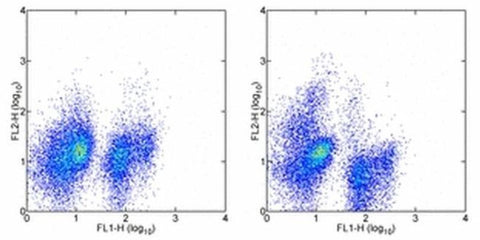 CD117 (c-Kit) Monoclonal Antibody (2B8), Biotin, eBioscience