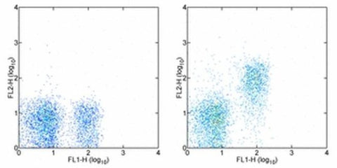 CD127 Monoclonal Antibody (A7R34), Biotin, eBioscience