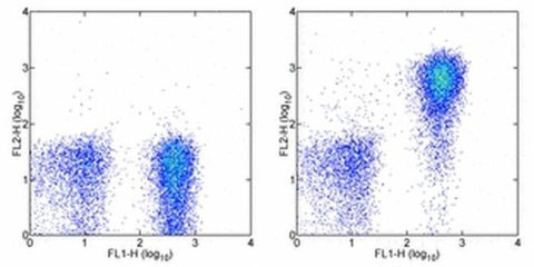CD127 Monoclonal Antibody (eBioRDR5), Biotin, eBioscience
