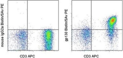 CD130 (GP130) Monoclonal Antibody (AN-G30), Biotin, eBioscience