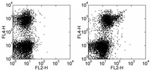 CD133 (Prominin-1) Monoclonal Antibody (13A4), Biotin, eBioscience