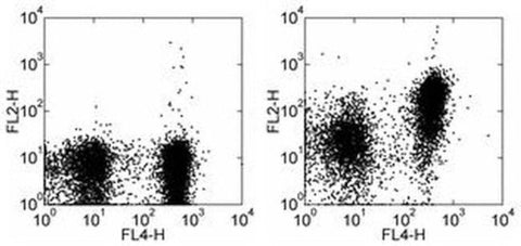 CD150 Monoclonal Antibody (9D1), Biotin, eBioscience