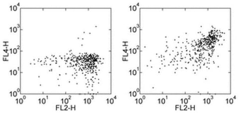 CD163 Monoclonal Antibody (eBioGHI/61 (GHI/61)), Biotin, eBioscience
