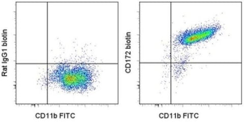 CD172a (SIRP alpha) Monoclonal Antibody (P84), Biotin, eBioscience