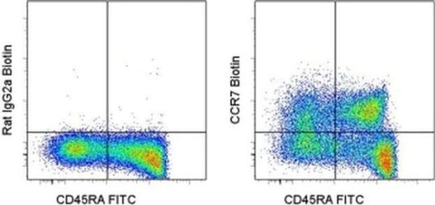 CD197 (CCR7) Monoclonal Antibody (3D12), Biotin, eBioscience