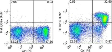 CD205 Monoclonal Antibody (205yekta), Biotin, eBioscience