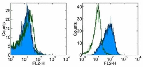 CD279 (PD-1) Monoclonal Antibody (eBioJ105 (J105)), Biotin, eBioscience