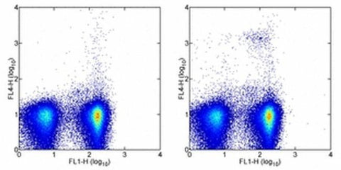 CD317 (BST2, PDCA-1) Monoclonal Antibody (eBio927), Biotin, eBioscience