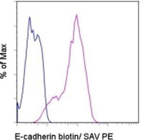 CD324 (E-Cadherin) Monoclonal Antibody (DECMA-1), Biotin, eBioscience
