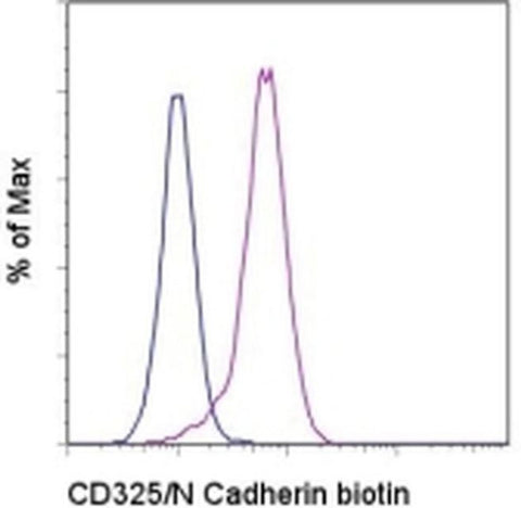 CD325 (N-Cadherin) Monoclonal Antibody (8C11), Biotin, eBioscience
