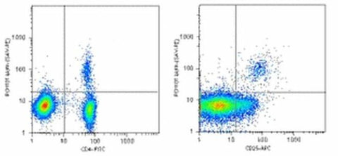 FOXP3 Monoclonal Antibody (PCH101), Biotin, eBioscience