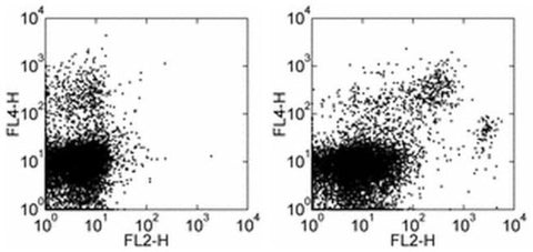 F4/80 Monoclonal Antibody (BM8), Biotin, eBioscience