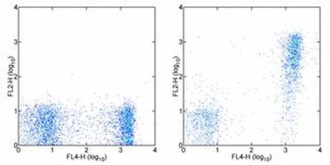 Ea52-68 peptide bound to I-Ab Monoclonal Antibody (eBioY-Ae (YAe, Y-Ae)), Biotin, eBioscience