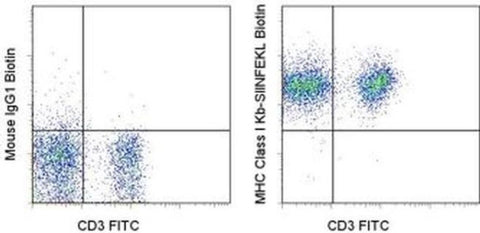 OVA257-264 (SIINFEKL) peptide bound to H-2Kb Monoclonal Antibody (eBio25-D1.16 (25-D1.16)), Biotin, eBioscience