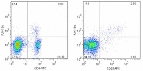 FOXP3 Monoclonal Antibody (FJK-16s), Biotin, eBioscience
