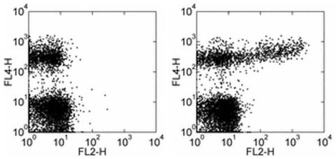 IgM Monoclonal Antibody (II/41), Biotin, eBioscience