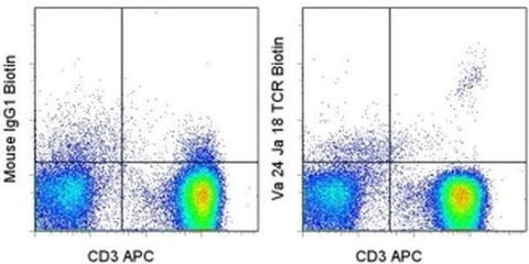 TCR V alpha 24 J alpha 18 Monoclonal Antibody (6B11), Biotin, eBioscience