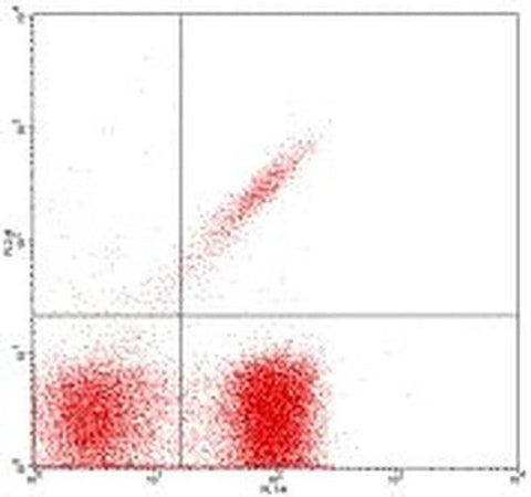 TCR gamma/delta Monoclonal Antibody (UC7-13D5), Biotin, eBioscience