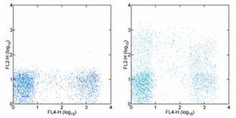CD244 Monoclonal Antibody (eBioC1.7 (C1.7)), Biotin, eBioscience
