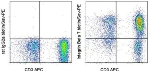 Integrin beta 7 Monoclonal Antibody (FIB504), Biotin, eBioscience