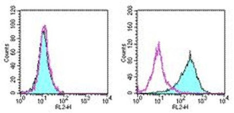 CD262 (DR5) Monoclonal Antibody (MD5-1), Biotin, eBioscience
