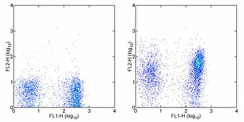 Integrin alpha 4 beta 7 (LPAM-1) Monoclonal Antibody (DATK32 (DATK-32)), Biotin, eBioscience