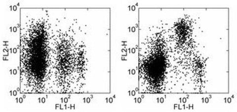 CD93 (AA4.1) Monoclonal Antibody (AA4.1), Biotin, eBioscience