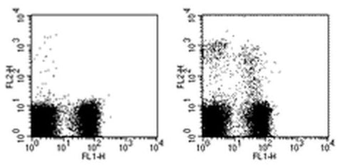 NKG2A/C/E Monoclonal Antibody (20d5), Biotin, eBioscience