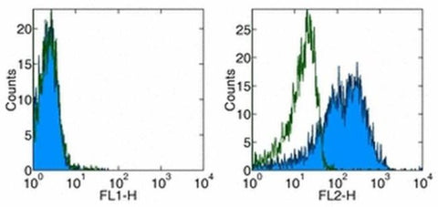 CD137 Ligand (4-1BB Ligand) Monoclonal Antibody (TKS-1), Biotin, eBioscience